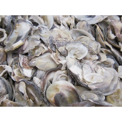 Dijk Natural Collection Mušle Oyster ústřice 130 g