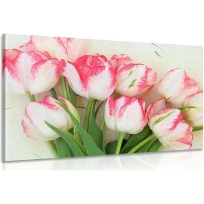 Obraz jarní tulipány - 120x80