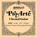 D'Addario J 4505