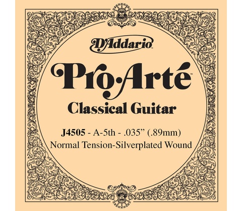 D'Addario J 4505