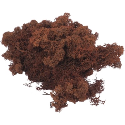 MACH Islandský 40g HRDZAVÝ