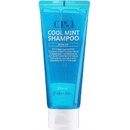 Osviežujúci šampón CP-1 Head Spa Cool Mint100 ml