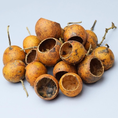 I073N GOLDEN POD S/20