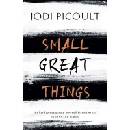 Small Great Things - Jodi Picoult
