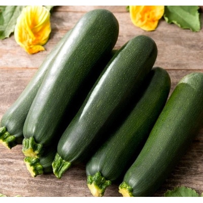 Sakata Seed Тиквичка Брилянт f1