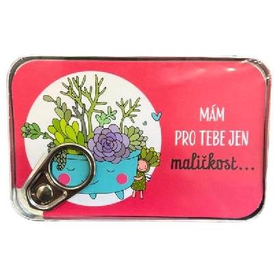 ALBI Plechovka na peníze - narozeniny - květina