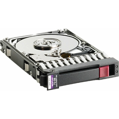 HP 300GB, 627117-B21