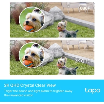 Image 1 of TP-Link TAPO C420S1