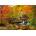 Castorland - Puzzle Magical Autumn - 1 000 piese