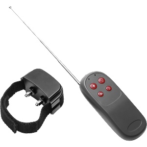 XR Brands Cock Shock - Electro Stimulation Cockring with Remote Control