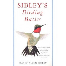 Sibley's Birding Basics