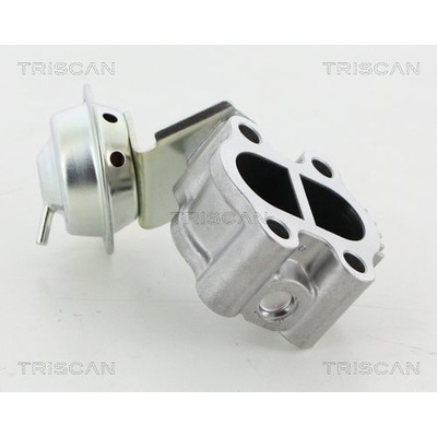 AGR - Ventil TRISCAN 8813 13060