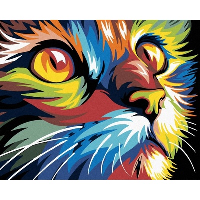 zuty Malování podle čísel Kočka 100 x 80 cm vypnuté plátno na rám 8596530002475
