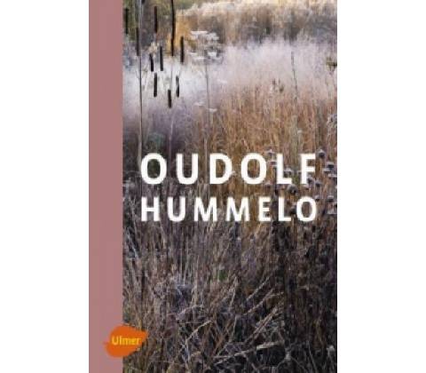 Oudolf Hummelo