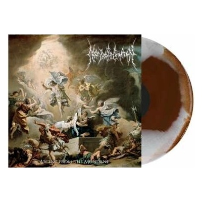 NEAR DEATH CONDITION - ASCENT FROM THE M LP