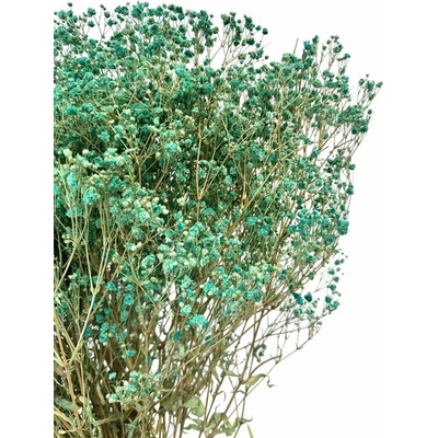 Nevěstin závoj/stabilizovaná Gypsophila svazek/kytice zelenomodrá 45g