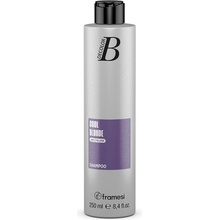 Framesi Decolor B Cool Šampon pro intenzivní studenou blond 250 ml