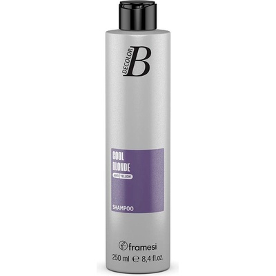 Framesi Decolor B Cool Šampon pro intenzivní studenou blond 250 ml