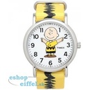 Timex TW2R41100