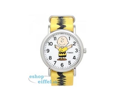 Timex TW2R41100