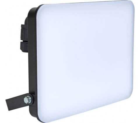 Ecolite RFL02-100W