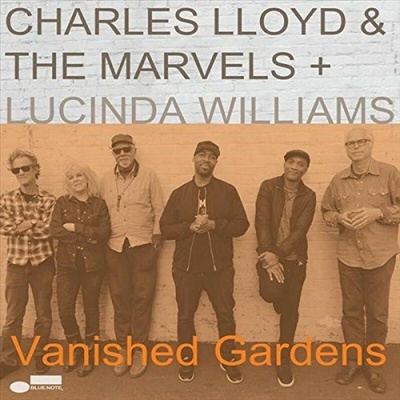 LLOYD CHARLES &THE MARVELS - VANISHED GARDENS LP