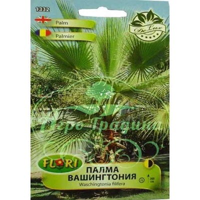 Флориан Палма Вашингтония Washingtonia filifera