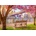 ROOVI - Puzzle New York, USA - 500 piese