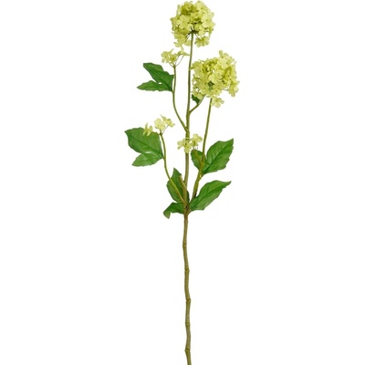 MICA Decorations Umelá rastlina Viburnum krémová 71,5 cm