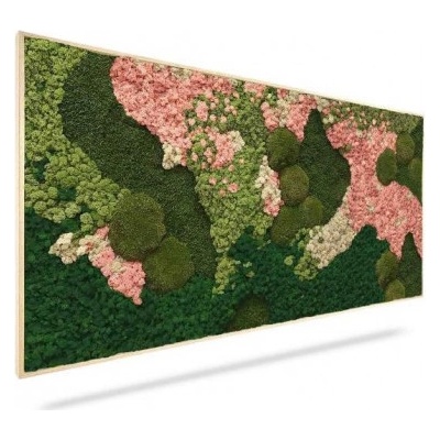Machový obraz ORTHO PINK, 100x40cm, drevený biely rám