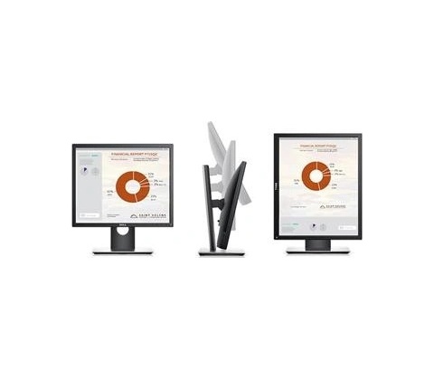 Dell P1917SE