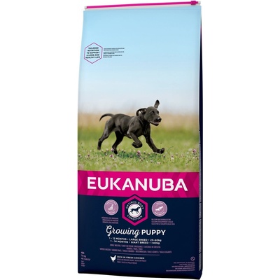 Eukanuba Puppy & Junior Large Breed 2 x 15 kg