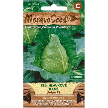 Kapusta hlávková ranej PYLON F1 špicaté 67611