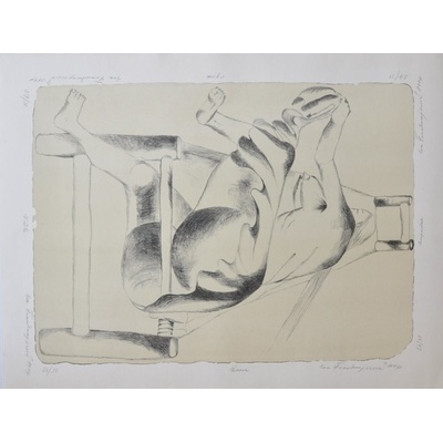Eva Švankmajerová, Agrese, vůle, únava, 1994
