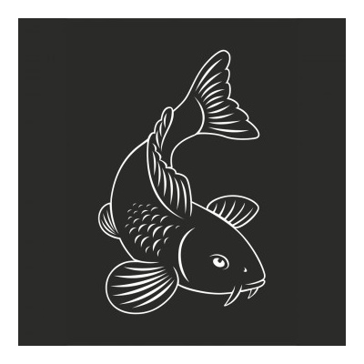 Koi bílá autosamolepka - obrys