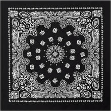 Rothco Trainmen Western šátek bandana černý