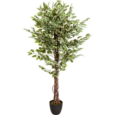 hjh Office Umelá rastlina Ficus (100397578)