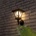 Garden of Eden 11404A