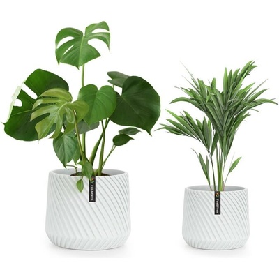 Blumfeldt PP-LINE-MW-SMSET