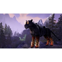 The Elder Scrolls Online: Summerset - Mount
