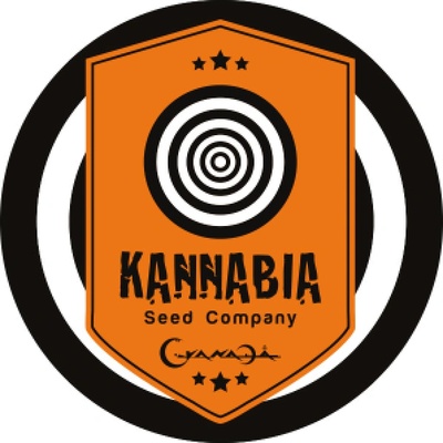 Kannabia Seeds Dosidos AUTO semena neobsahují THC 100 ks – Sleviste.cz