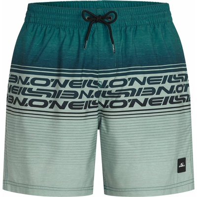 O'Neill Logo Stripe 16'' tmavo zelené svetlo zelené