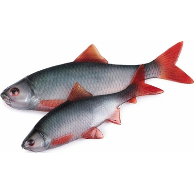 Fox Rage Gumová Nástraha Ultra Natural Roach Fillet 4ks - 6cm