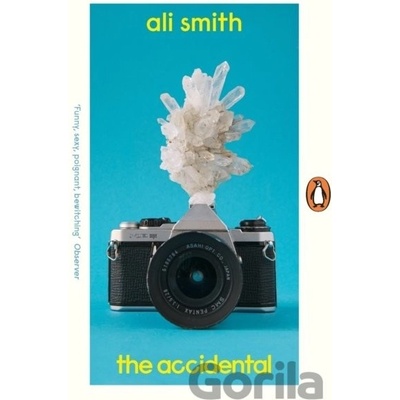 The Accidental - Ali Smith