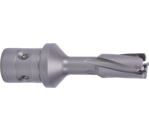 ABSE N-CA-F18-0120035