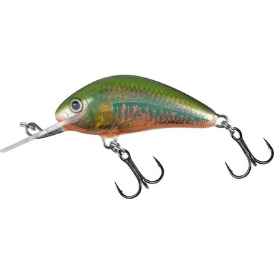 Salmo Hornet Sinking Holo Oikawa 5cm