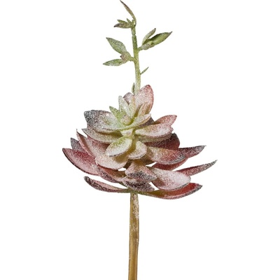 Sukulent výška 22 cm Gasper - zelený