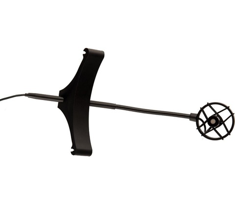 Prodipe BL21