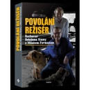 Povolání režisér