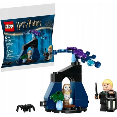 LEGO® HARRY POTTER™ 30677 Draco v Zapovězeném lese – Zboží Dáma